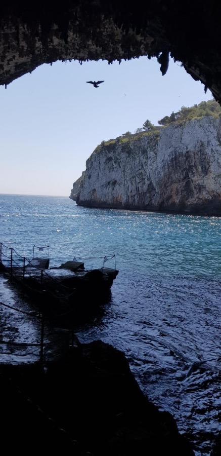 Affittasi Casa Vacanza A Casa Di Emma Leverano Zewnętrze zdjęcie
